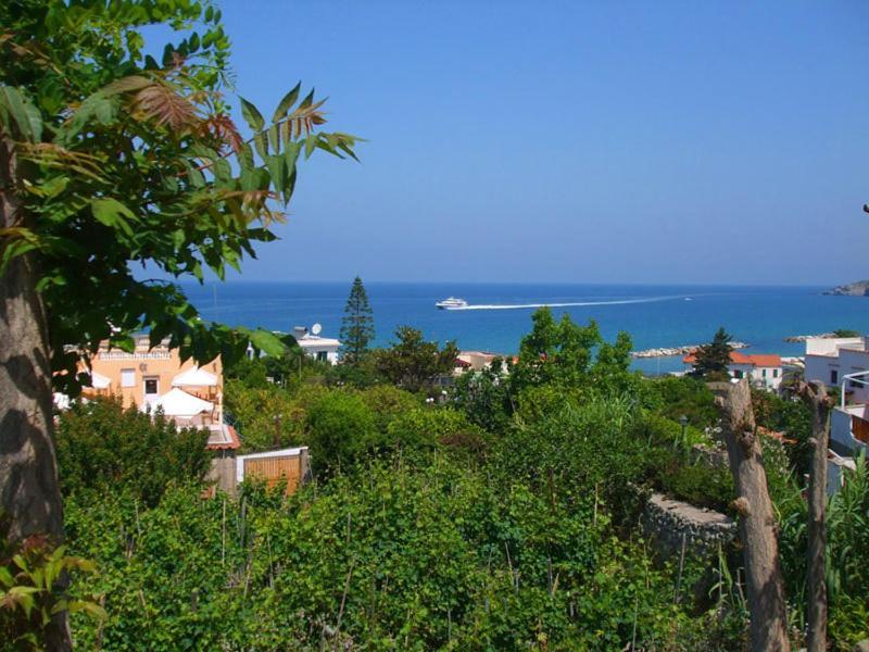 Albergo Villa Hibiscus Forio  Bagian luar foto