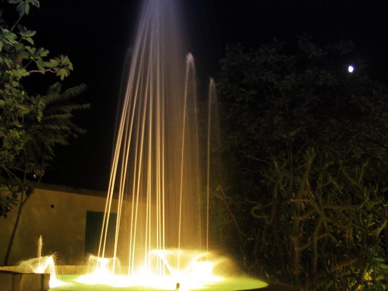 Albergo Villa Hibiscus Forio  Bagian luar foto